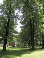 Park Kasztanowy